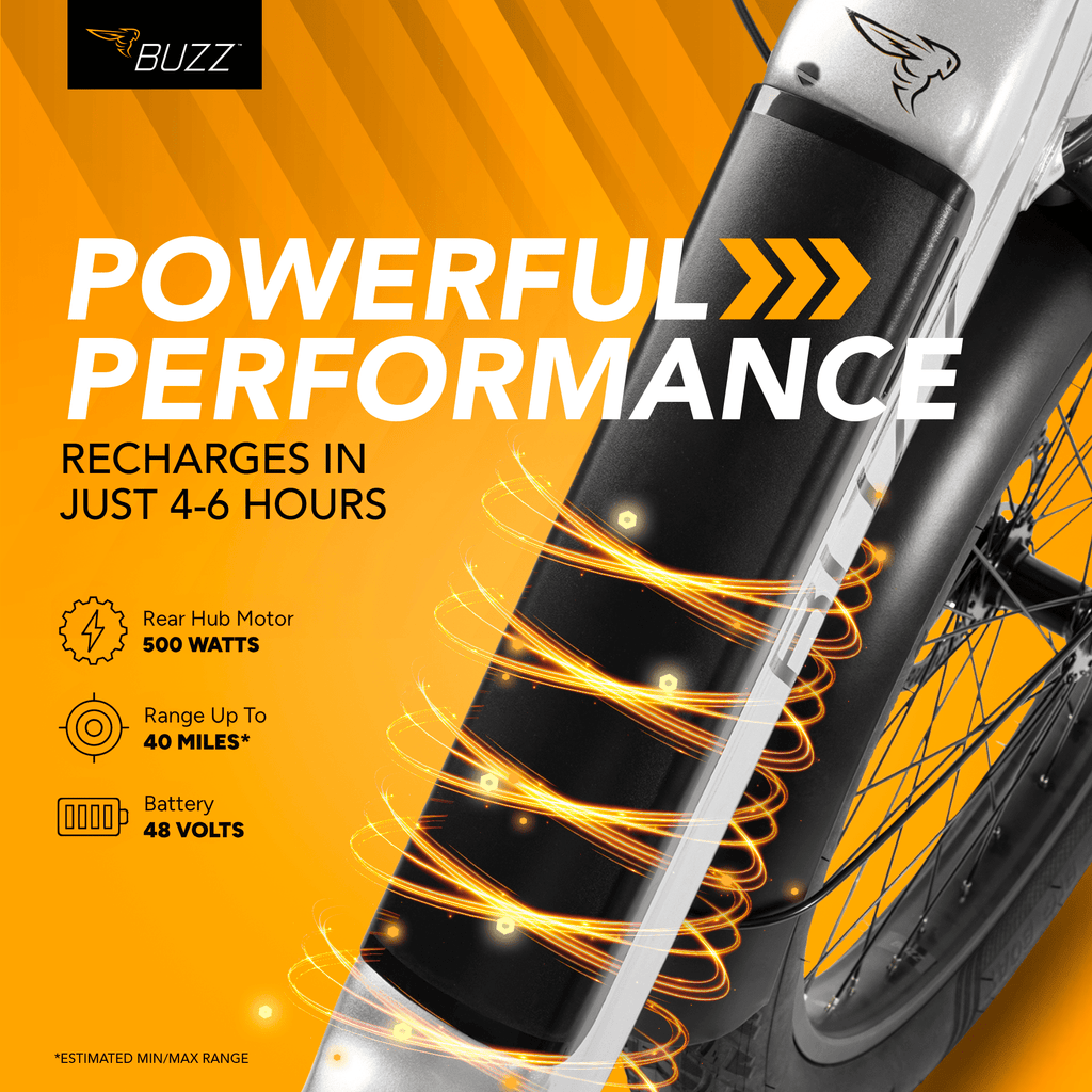 Buzz 24 Beekeeper 48V Electric Cargo Bike, Fits Riders 60+, Silver, Adult, Unisex Electric Bikes