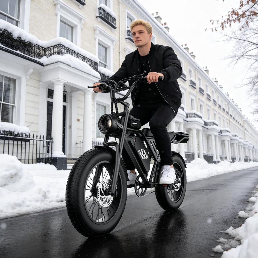 2200W Peak Electric Bike, 48V 20Ah &25MPH & 65Miles Range, 20''x4'' Fat Tire Mountain Ebike, Removable Battery, Rear Rack, Adult Electric Bicycle, UL2849 Electric Bikes