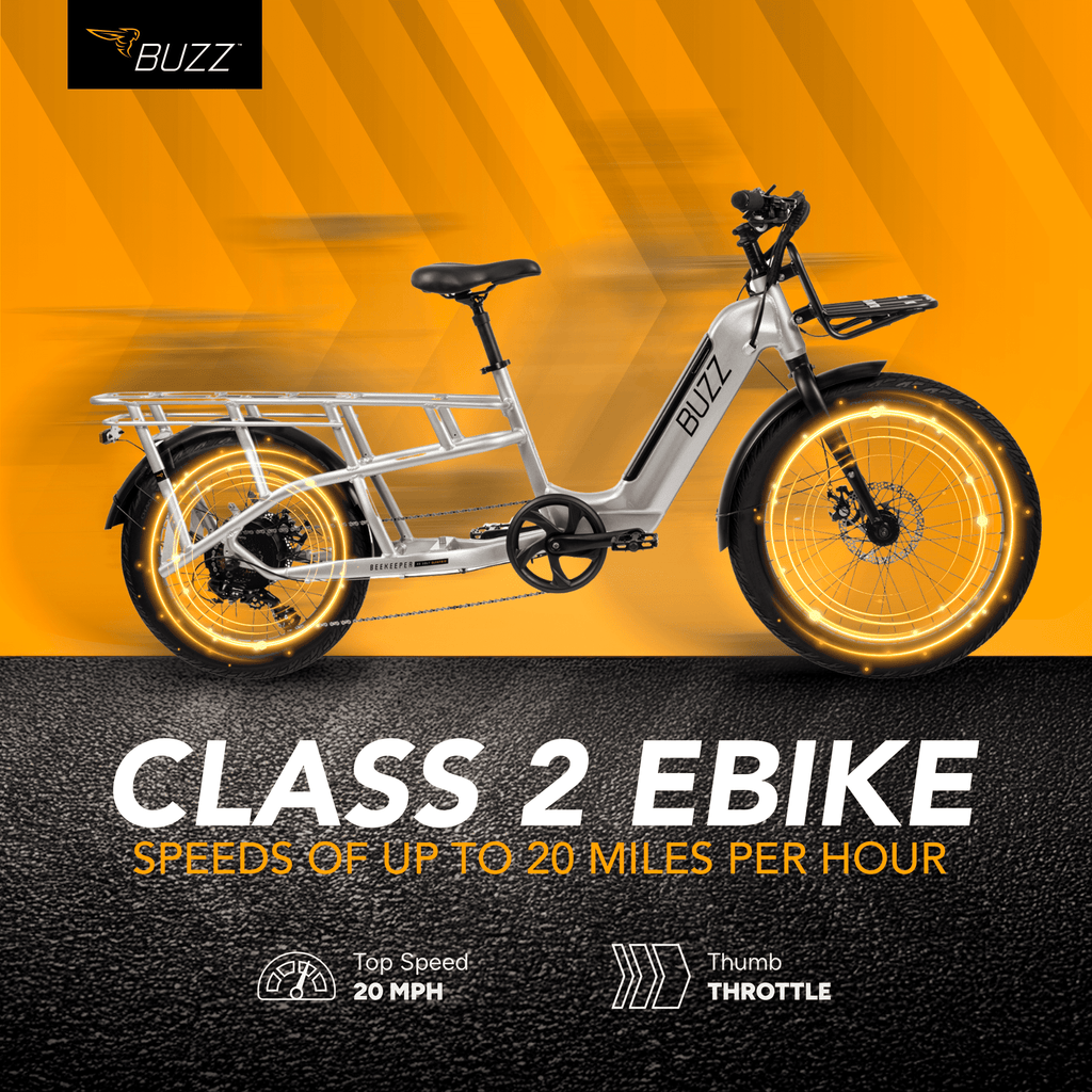 Buzz 24 Beekeeper 48V Electric Cargo Bike, Fits Riders 60+, Silver, Adult, Unisex Electric Bikes