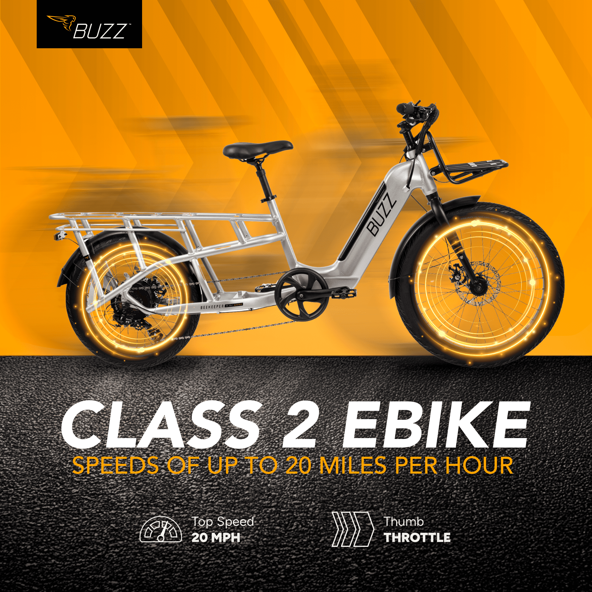 Buzz 24 Beekeeper 48V Electric Cargo Bike, Fits Riders 60+, Silver, Adult, Unisex Electric Bikes