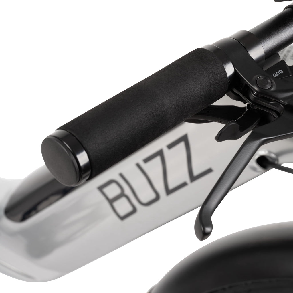 Buzz 24 Beekeeper 48V Electric Cargo Bike, Fits Riders 60+, Silver, Adult, Unisex Electric Bikes