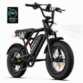 5TH WHEEL LB16 750W Electric Bike for Adults, 20 × 4 Fat Tire E Mountain Bikes, 48V 14.5Ah Removable Battery, Front Suspension, 7-Speed UL2849 Electric Bikes