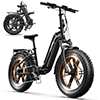 Electric Bike for Adults (Age 18+), 20x4.0 Fat Tire E-Mountain Bike, 749W Motor, 48V 15Ah Battery, 27.9 MPH, 60 Miles Range, UL2849 Electric Bikes
