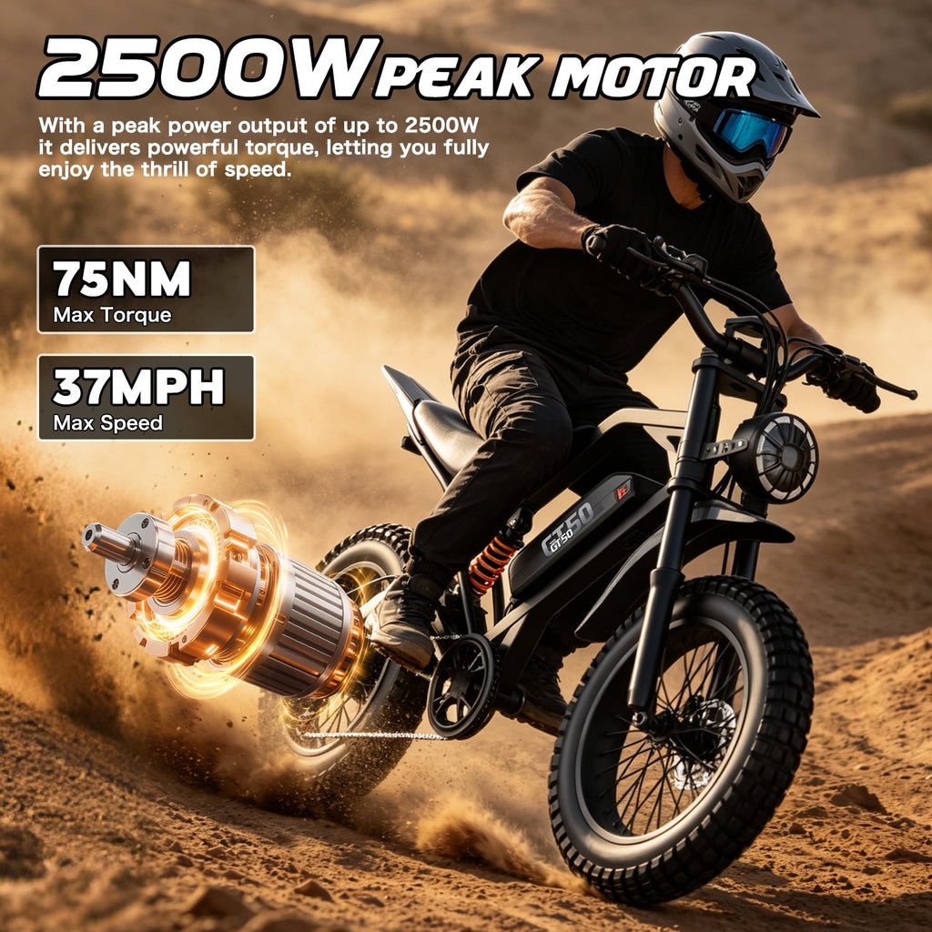 Adult Electric Bike 2500W Brushless Motor, 48V 25AH Long Range Battery, 26 Fat Tire E-Bike, 25MPH, 7-Speed, IPX5 Waterproof, Electric Bicycle for Mountain, Beach, Commute Electric Bikes