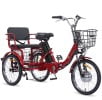 NOMIGO Two-Seat Electric Tricycle for Adults, Foldable 3 Wheel E-Bike for Errands with Rear Seat, Large Baskets and 48V Battery Electric Bikes