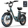 URLIFE 20*3.0 Electric Bike for Adults,1000W Peak Motor,48V 13AH Remobavle Battery,28MPH Max Speed, 7-Speed Mountain Ebike,UL2849-Black Electric Bikes