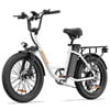 URLIFE 20*3.0 Electric Bike for Adults,1000W Peak Motor,48V 13AH Remobavle Battery,28MPH Max Speed, 7-Speed Mountain Ebike,UL2849-Black Electric Bikes