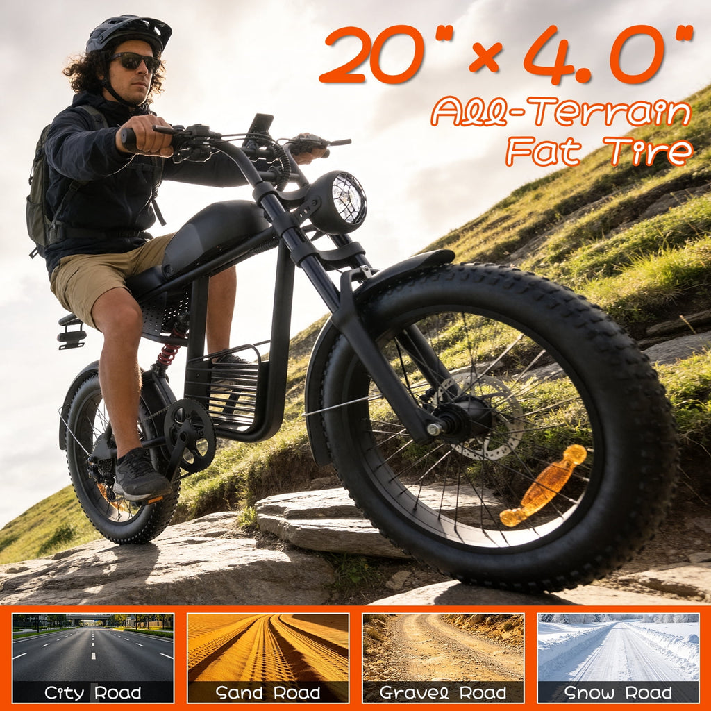 Electric Bike for Adults,750W Motor 1000W Peak,Top Speed 30MPH, Max 55miles,20×4.0 Fat Tires,48V 16.8Ah Battery,UL 2849,Fit for 18+ Electric Bikes