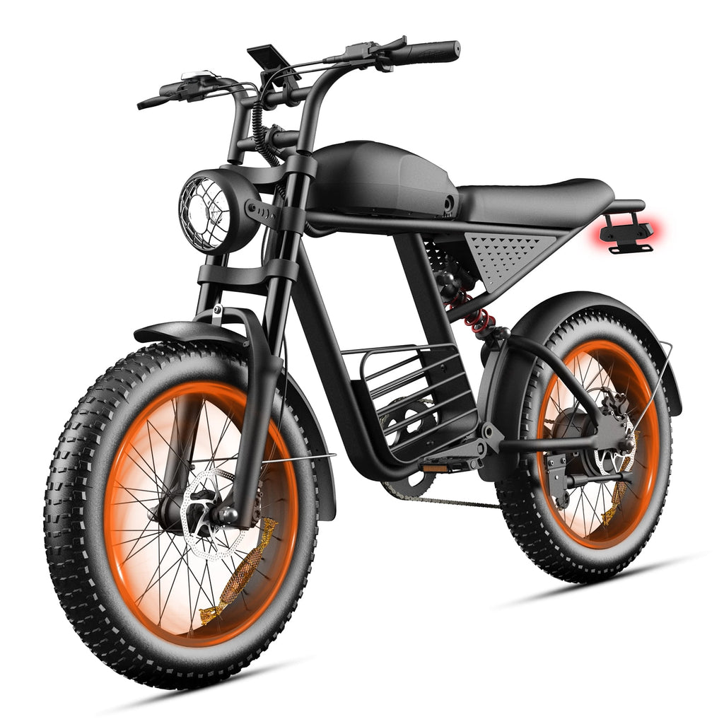 Electric Bike for Adults,750W Motor 1000W Peak,Top Speed 30MPH, Max 55miles,20×4.0 Fat Tires,48V 16.8Ah Battery,UL 2849,Fit for 18+ Electric Bikes