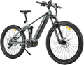 Hurley Bikes Riptide 19-inch Dual Suspension E-Mountain Bike, Green Electric Bikes