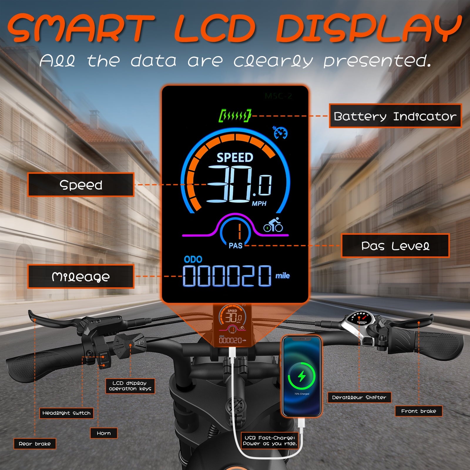 Electric Bike for Adults,750W Motor 1000W Peak,Top Speed 30MPH, Max 55miles,20×4.0 Fat Tires,48V 16.8Ah Battery,UL 2849,Fit for 18+ Electric Bikes