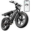 TST Electric Bike for Adults, 750W Motor, 20x4 Fat Tire, 20Mph Speed EBike, Full Suspension E Mountain Bike, 48V/15AH, UL2849 Electric Bikes