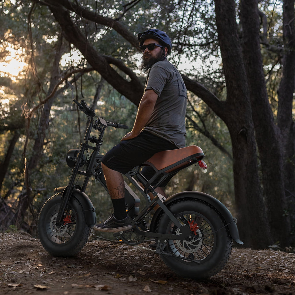 1200W Off-Road Electric Bike for Adults, 48V 18AH Removable Battery, 16 Wide Tires, 5-Speed Transmission, Dual Disc Brakes & Spring Suspension Electric Bikes